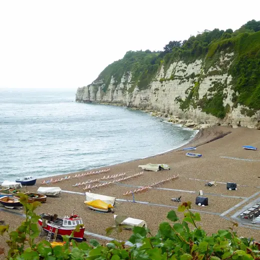 Beer Beach