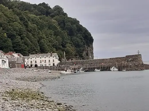 Clovelly Beach