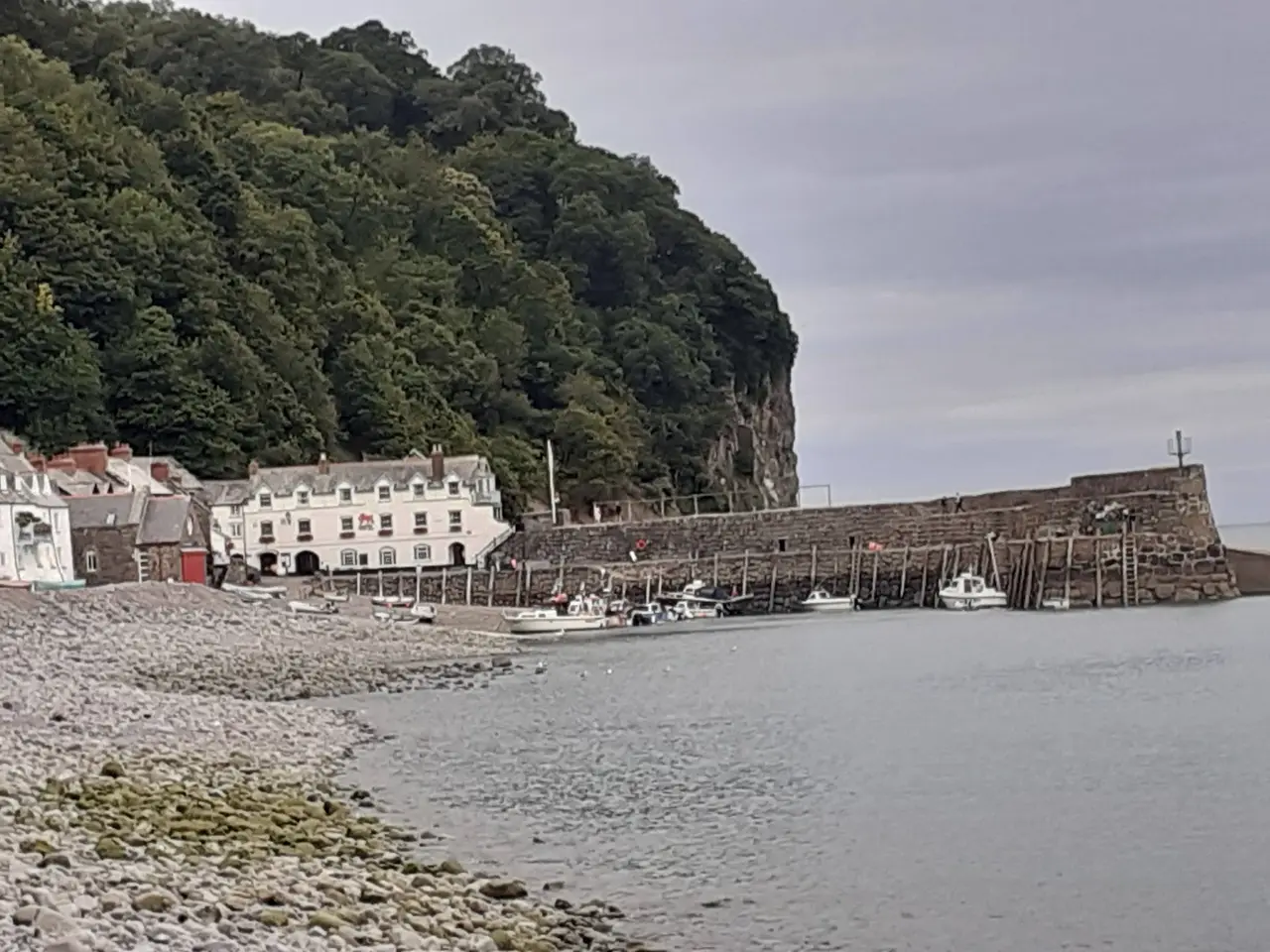 Clovelly Beach