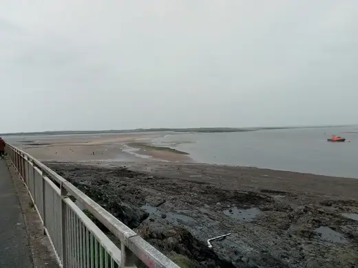 Gray Sands