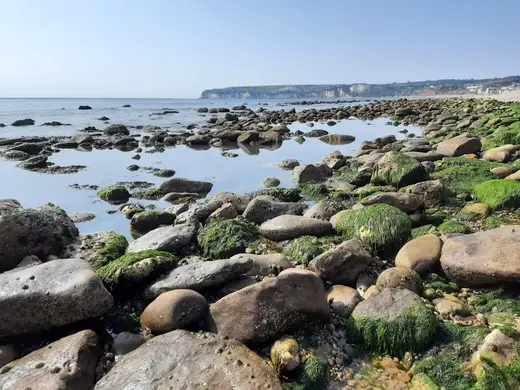 Haven Cliffs Naturist Beach