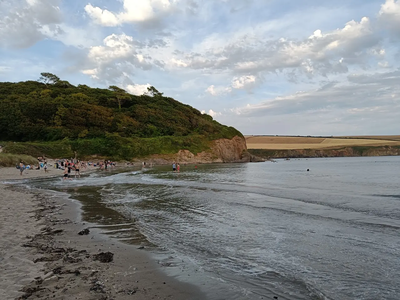 Mothecombe beach