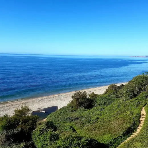 Preston Sands