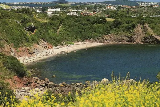 Saltern Cove