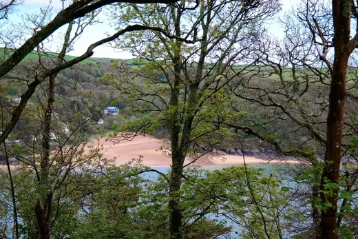 Sunny cove beach