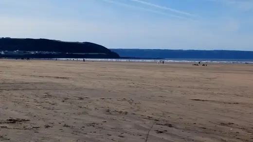 Westward Ho!