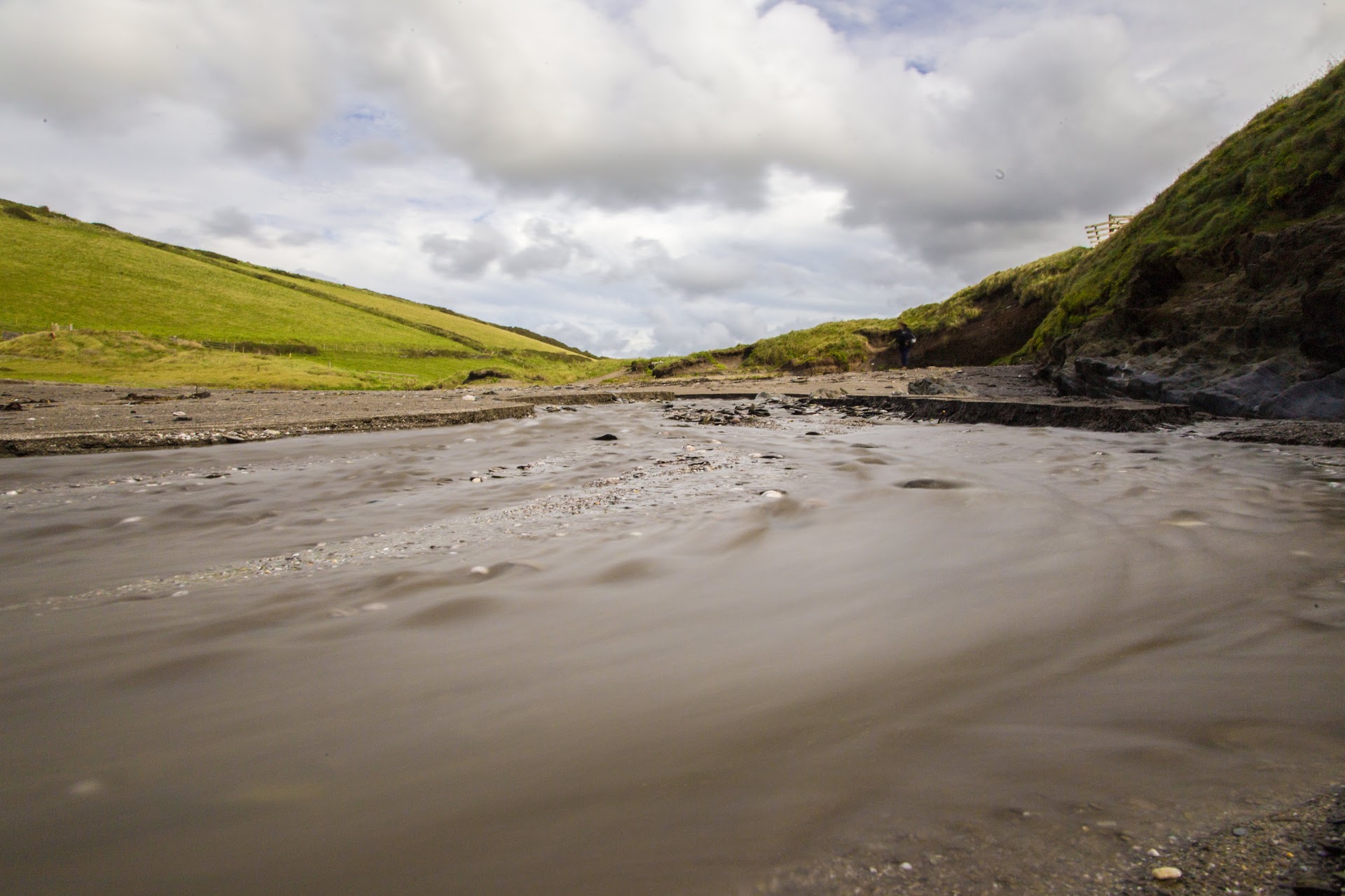 Ayrmer Cove dog-friendly beach, South Devon — year-round dog access