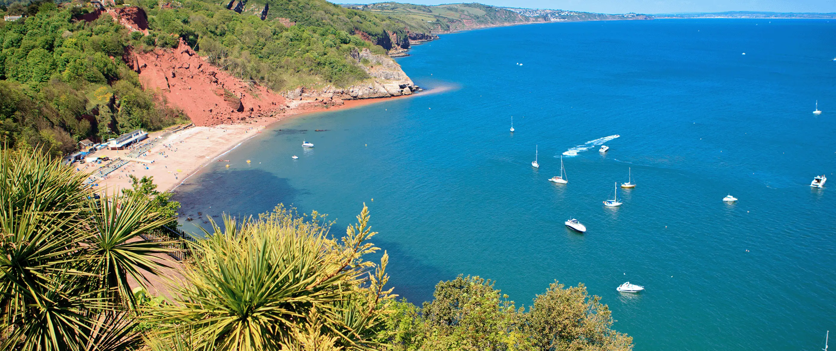 Babbacombe Beach dog-friendly beach, Torbay — year-round dog access