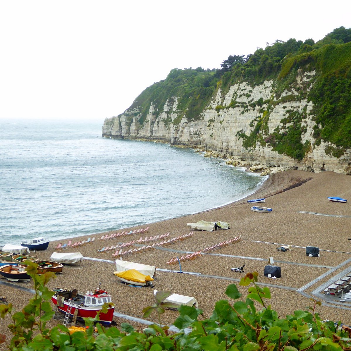 Beer Beach dog-friendly beach, East Devon — seasonal dog access