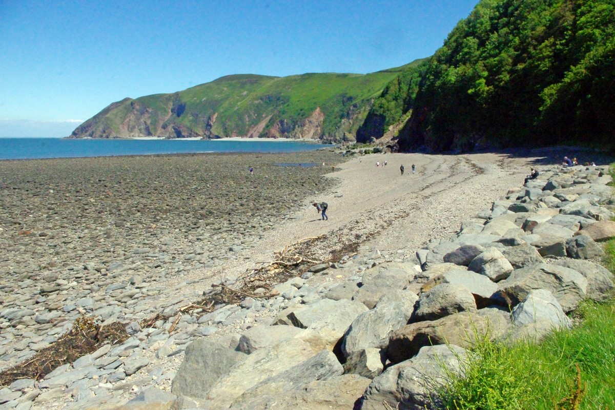 Blacklands Beach dog-friendly beach, North Devon — seasonal dog access