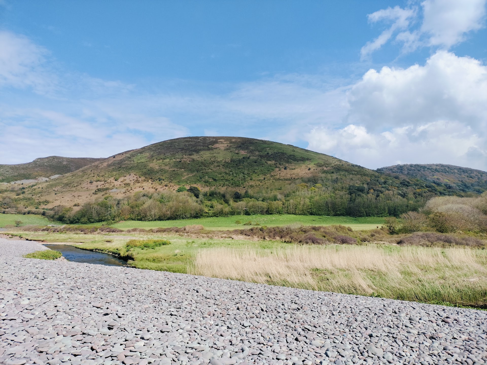 Bossington Beach dog-friendly beach, Somerset — year-round dog access