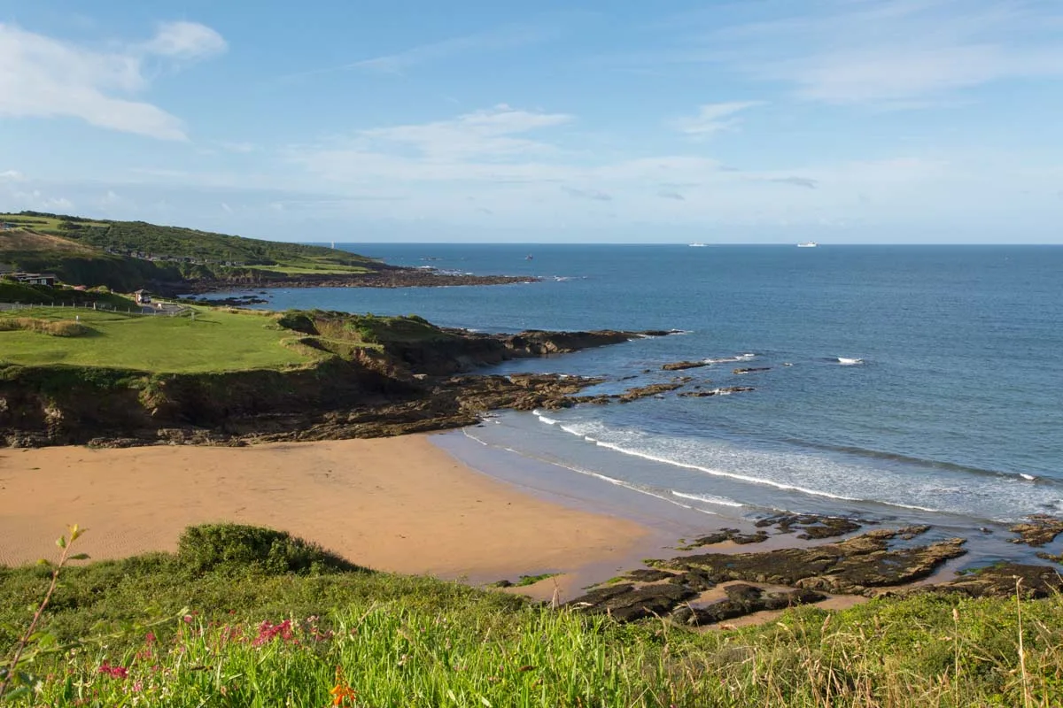 Bovisand Beach dog-friendly beach, South Devon — year-round dog access