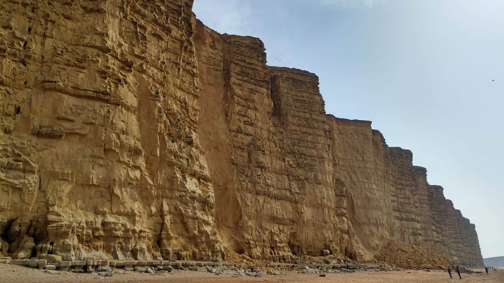 Bridport Beach dog-friendly beach, Dorset — year-round dog access