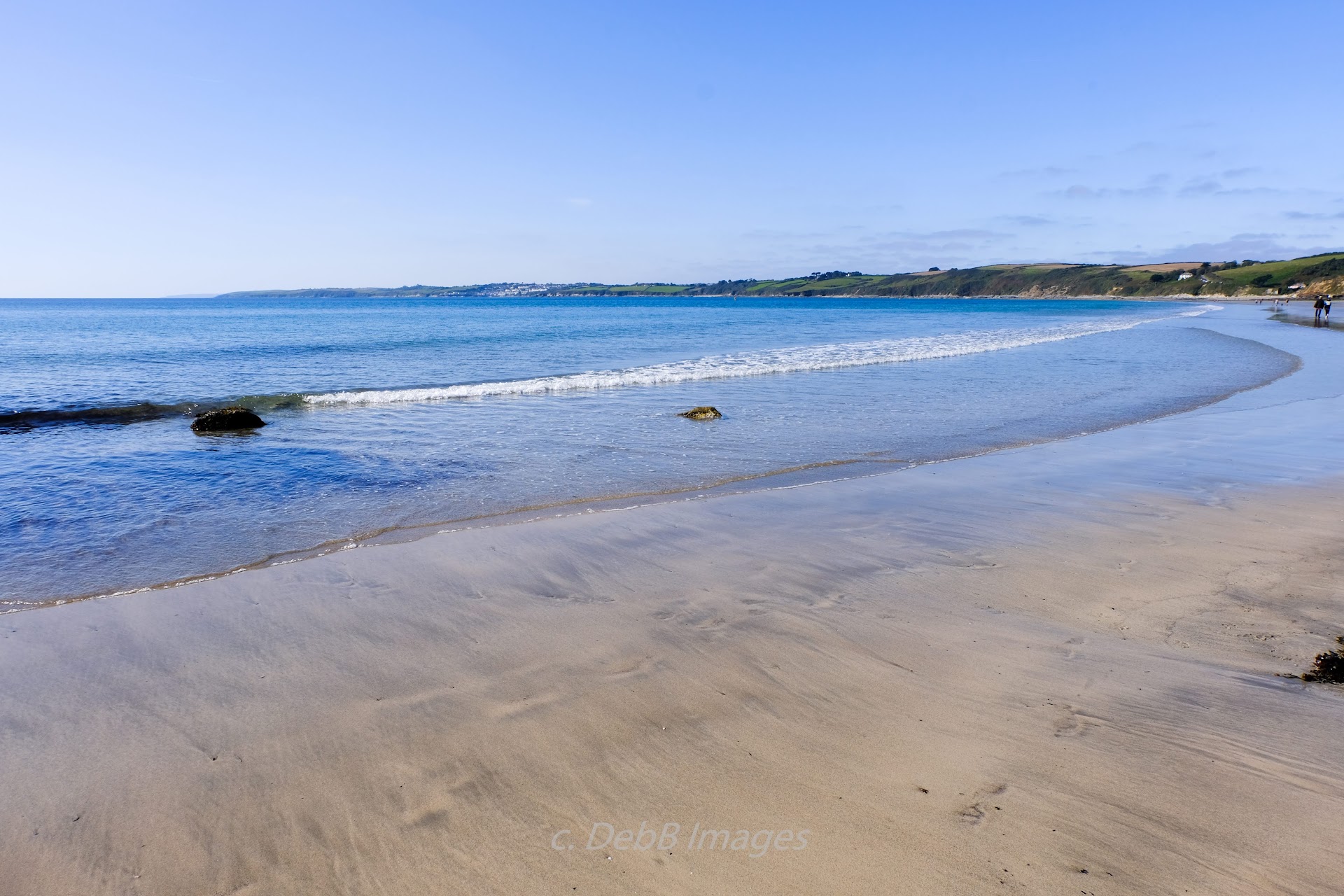 Carne Beach dog-friendly beach, Cornwall — year-round dog access