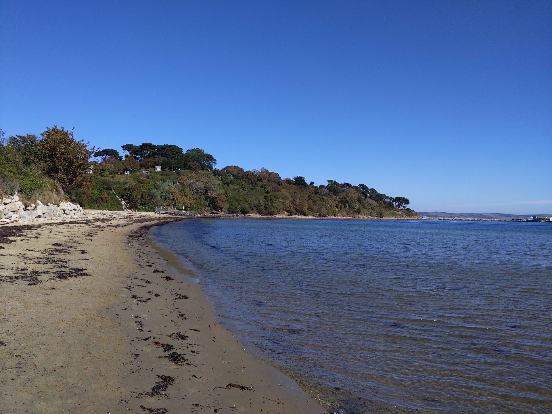 Castle Cove, Weymouth dog-friendly beach, Dorset — year-round dog access