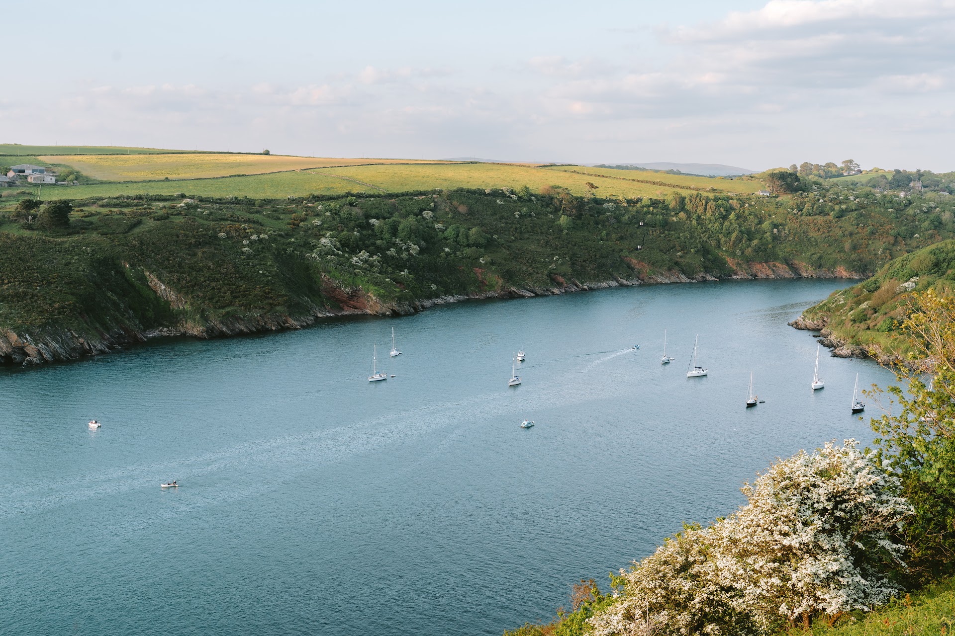 Cellar Beach dog-friendly beach, South Devon — year-round dog access