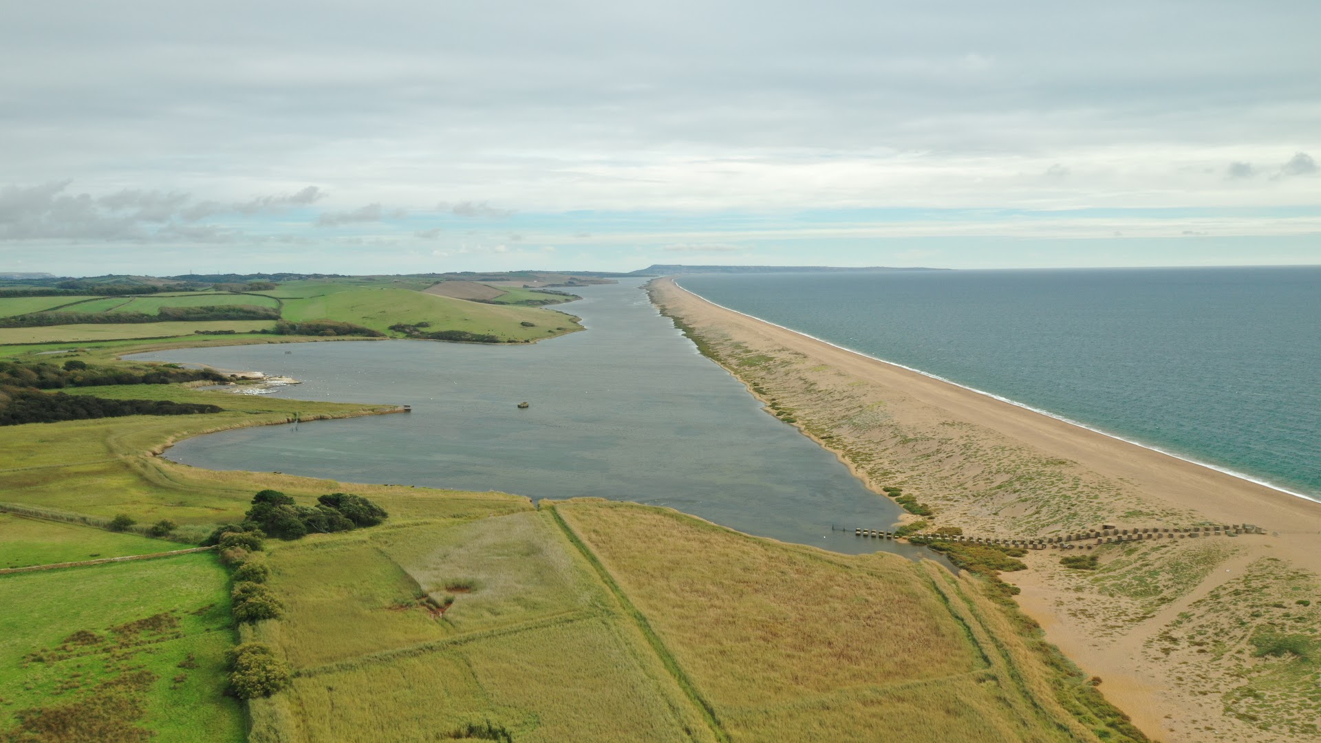 Chesil Beach dog-friendly beach, Dorset — seasonal dog access