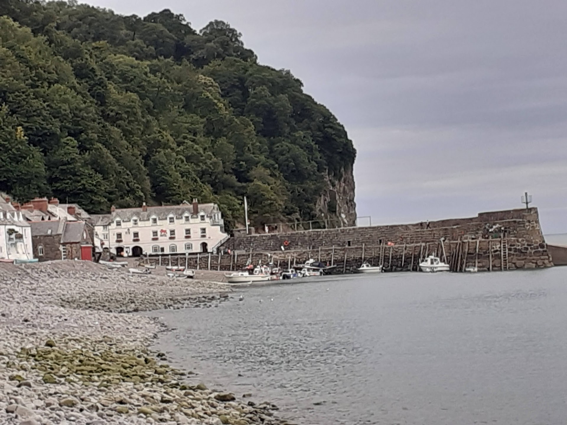 Clovelly Beach dog-friendly beach, North Devon — year-round dog access