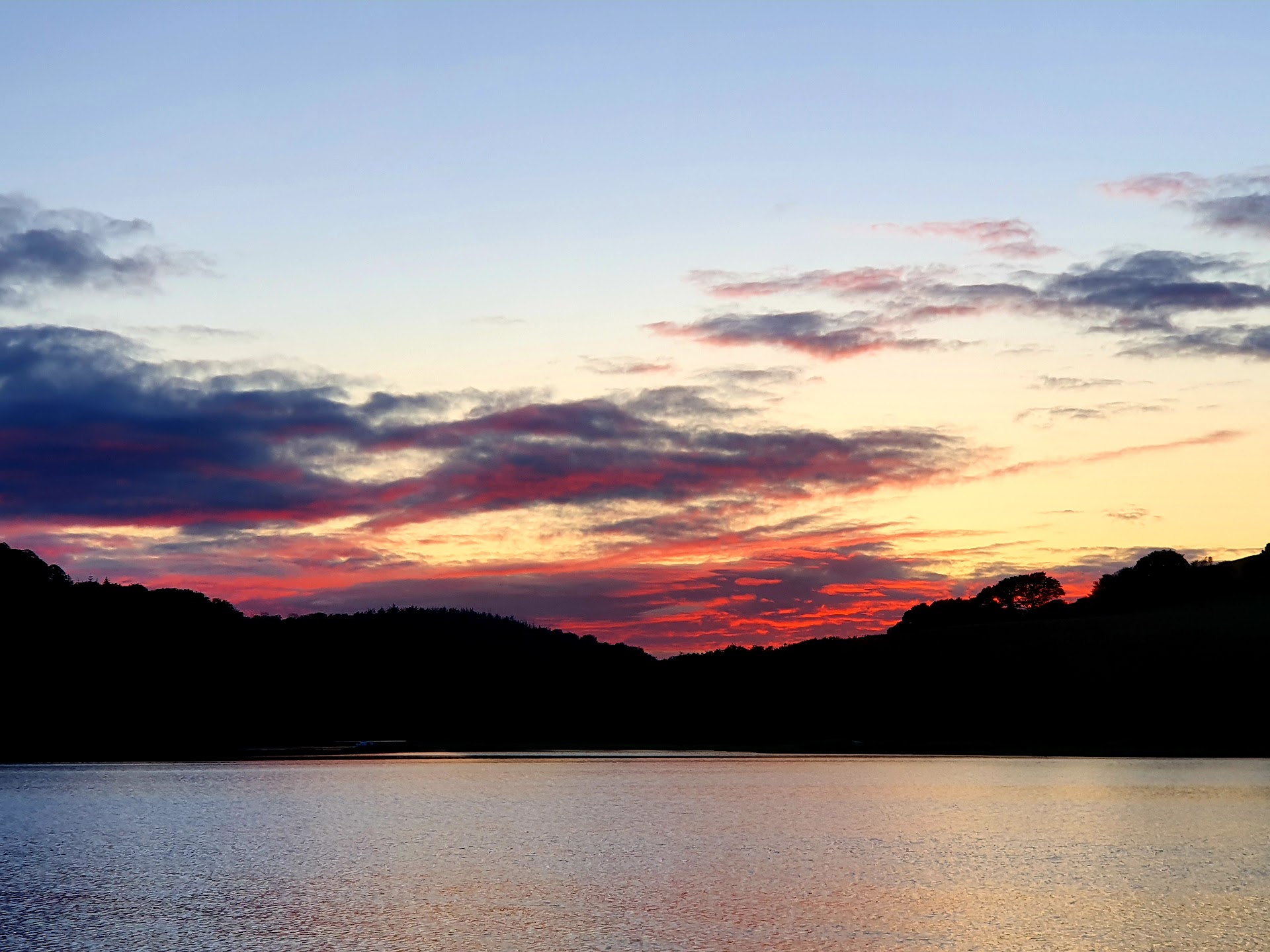 Dandy Hole dog-friendly beach, South Devon — year-round dog access