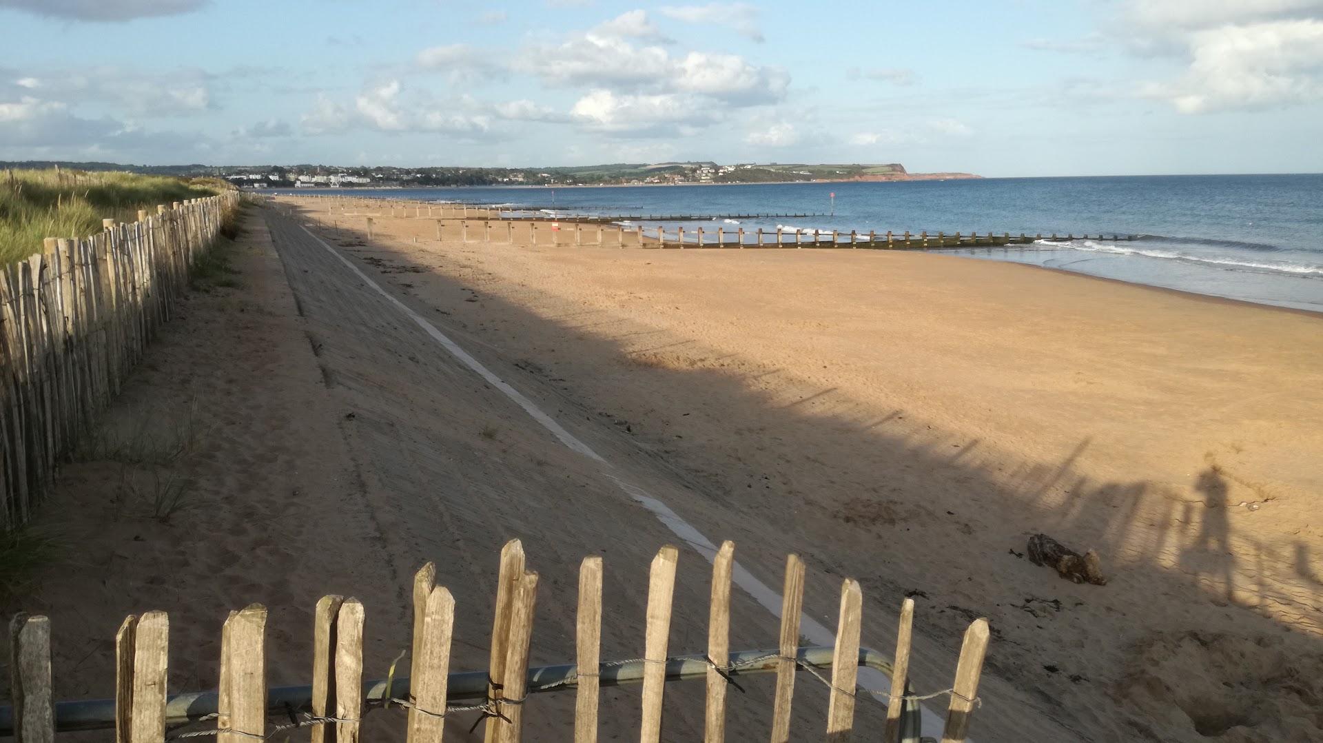 Dawlish Warren Beach dog-friendly beach, East Devon — seasonal dog access