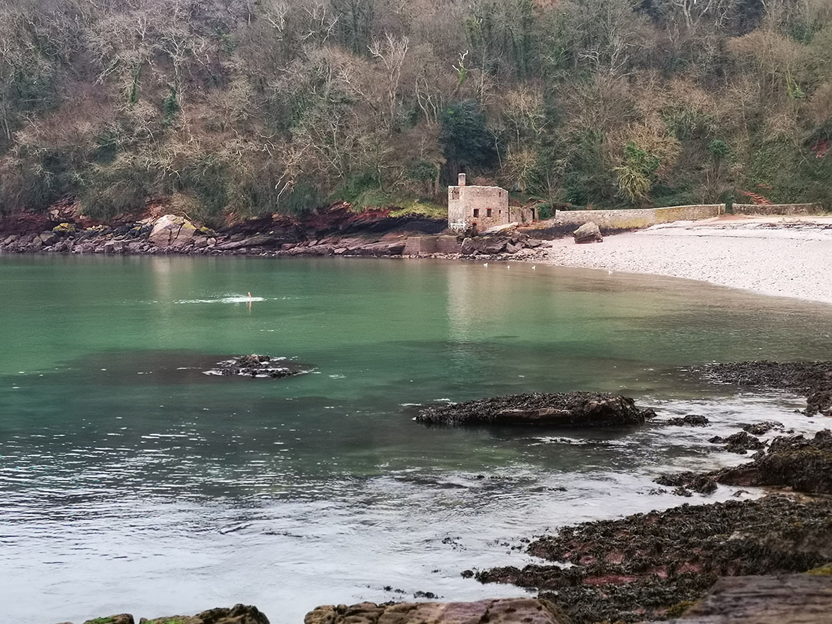 Elberry Cove dog-friendly beach, Torbay — year-round dog access
