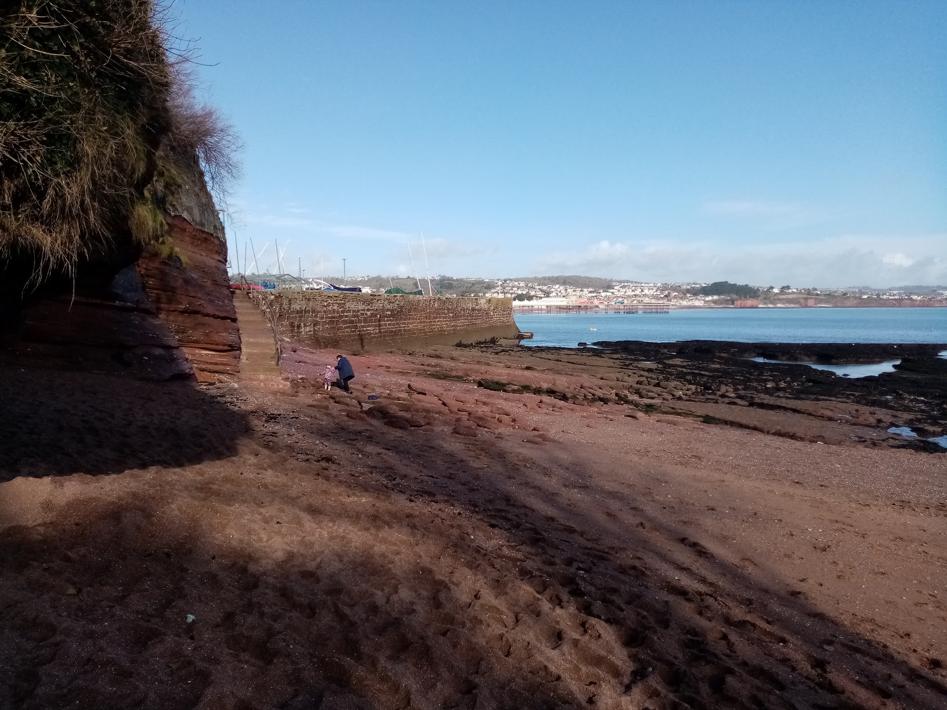 Fairy Cove dog-friendly beach, Torbay — year-round dog access