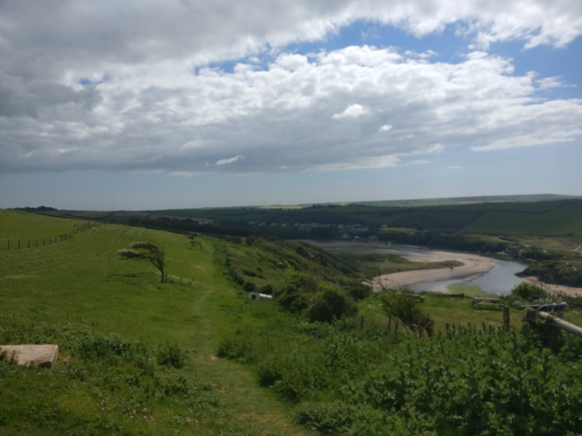 Felicity Bay dog-friendly beach, South Devon — year-round dog access