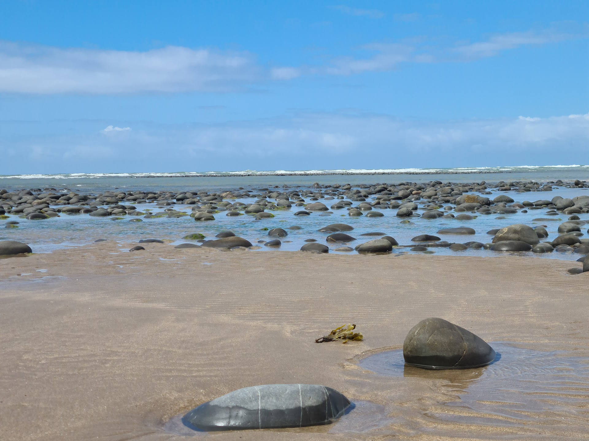 Greysands Beach dog-friendly beach, North Devon — year-round dog access