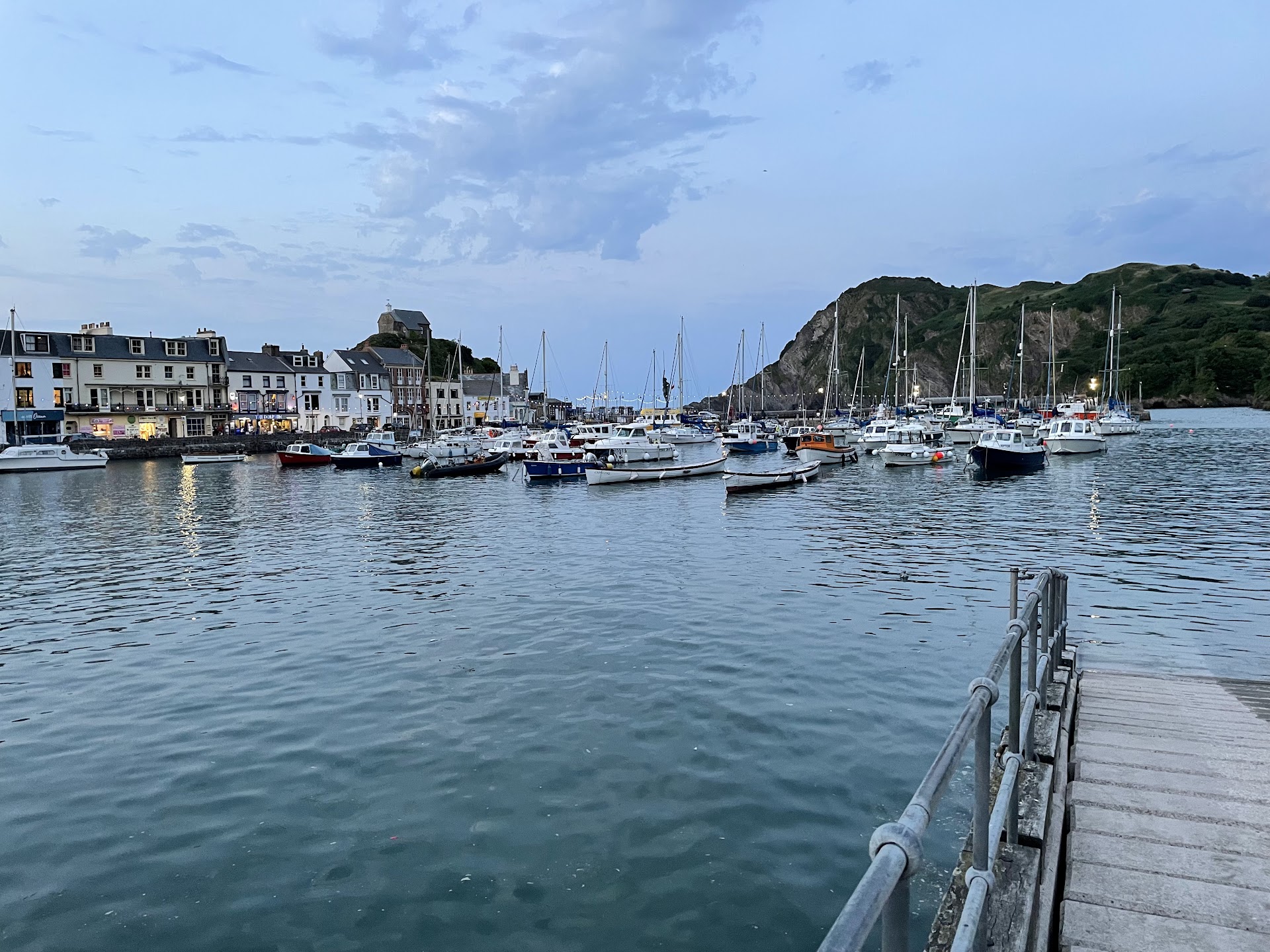 Harbour dog-friendly beach, North Devon — year-round dog access