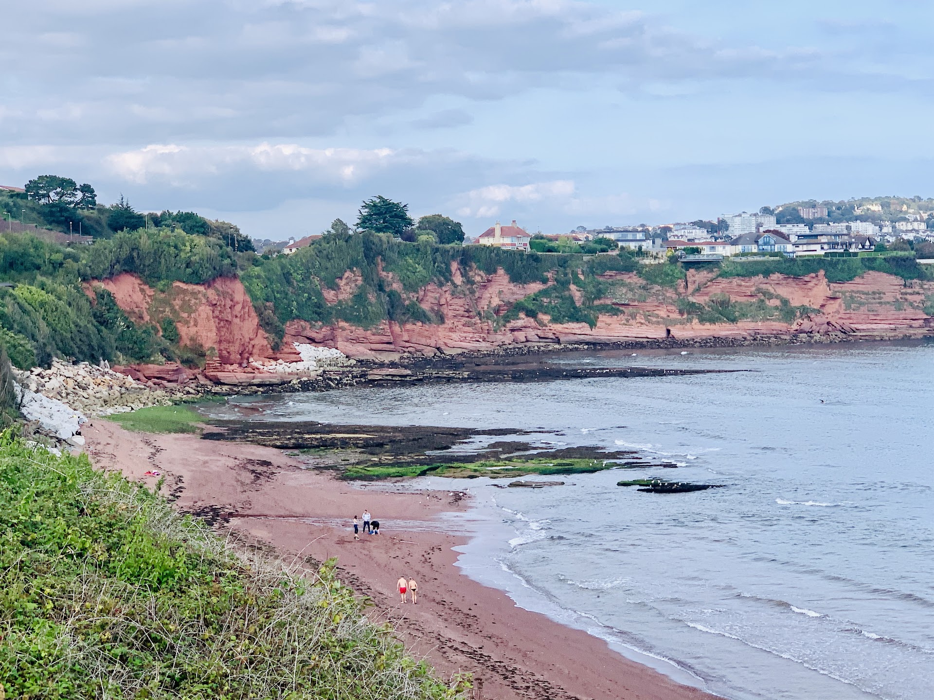 Hollicombe Beach dog-friendly beach, South Devon — seasonal dog access