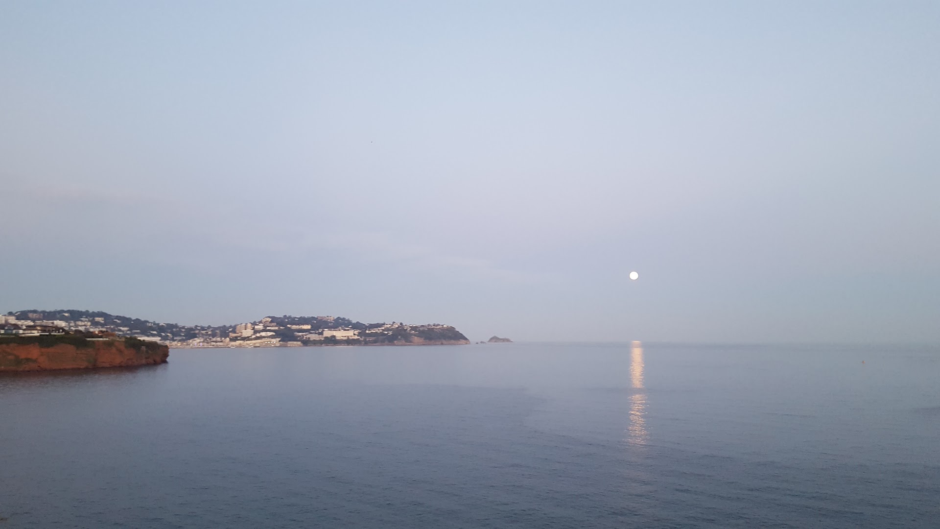 Institute Beach dog-friendly beach, Torbay — year-round dog access