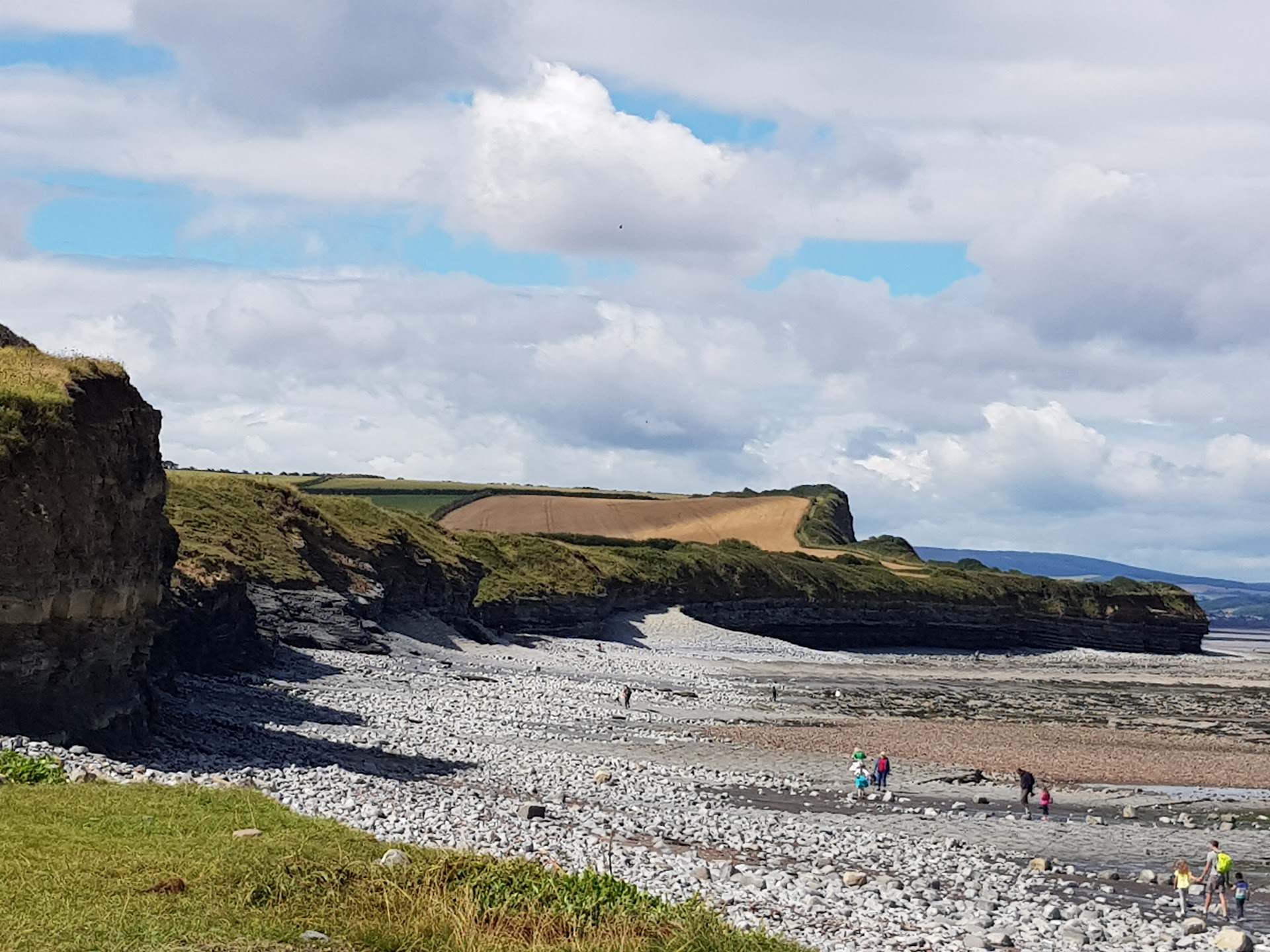 Kilve Beach dog-friendly beach, Somerset — year-round dog access