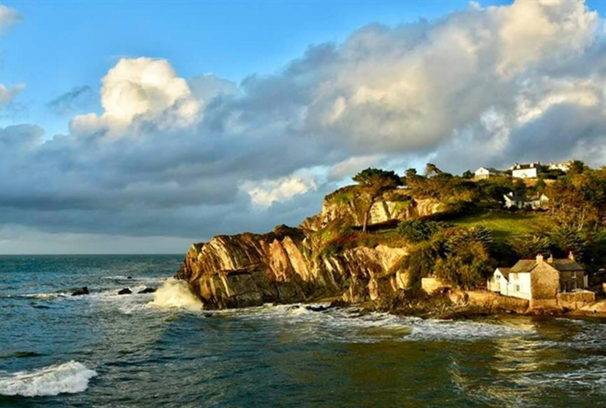 Lee Bay Beaches dog-friendly beach, North Devon — year-round dog access