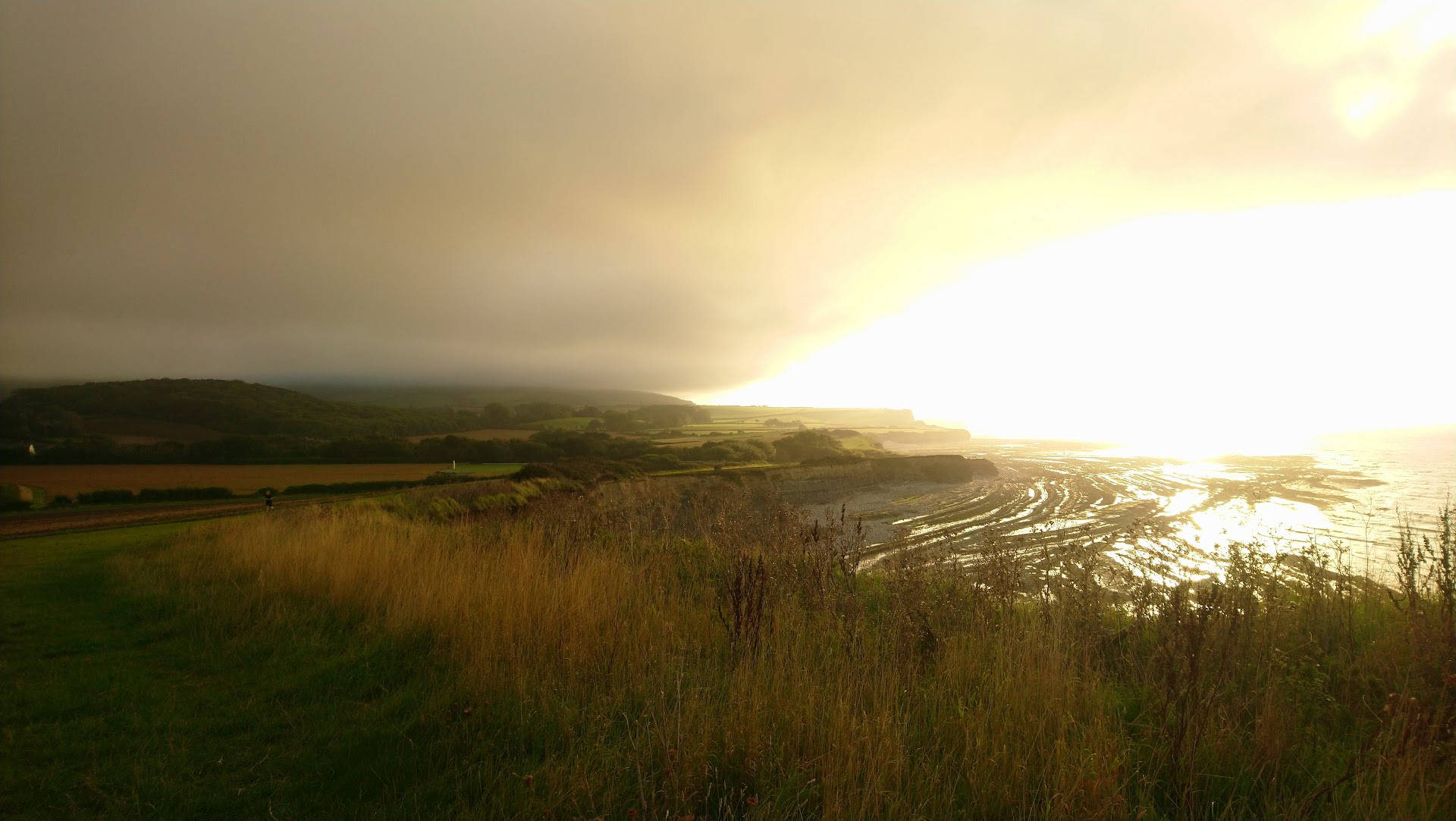 Lilstock Beach dog-friendly beach, Somerset — year-round dog access