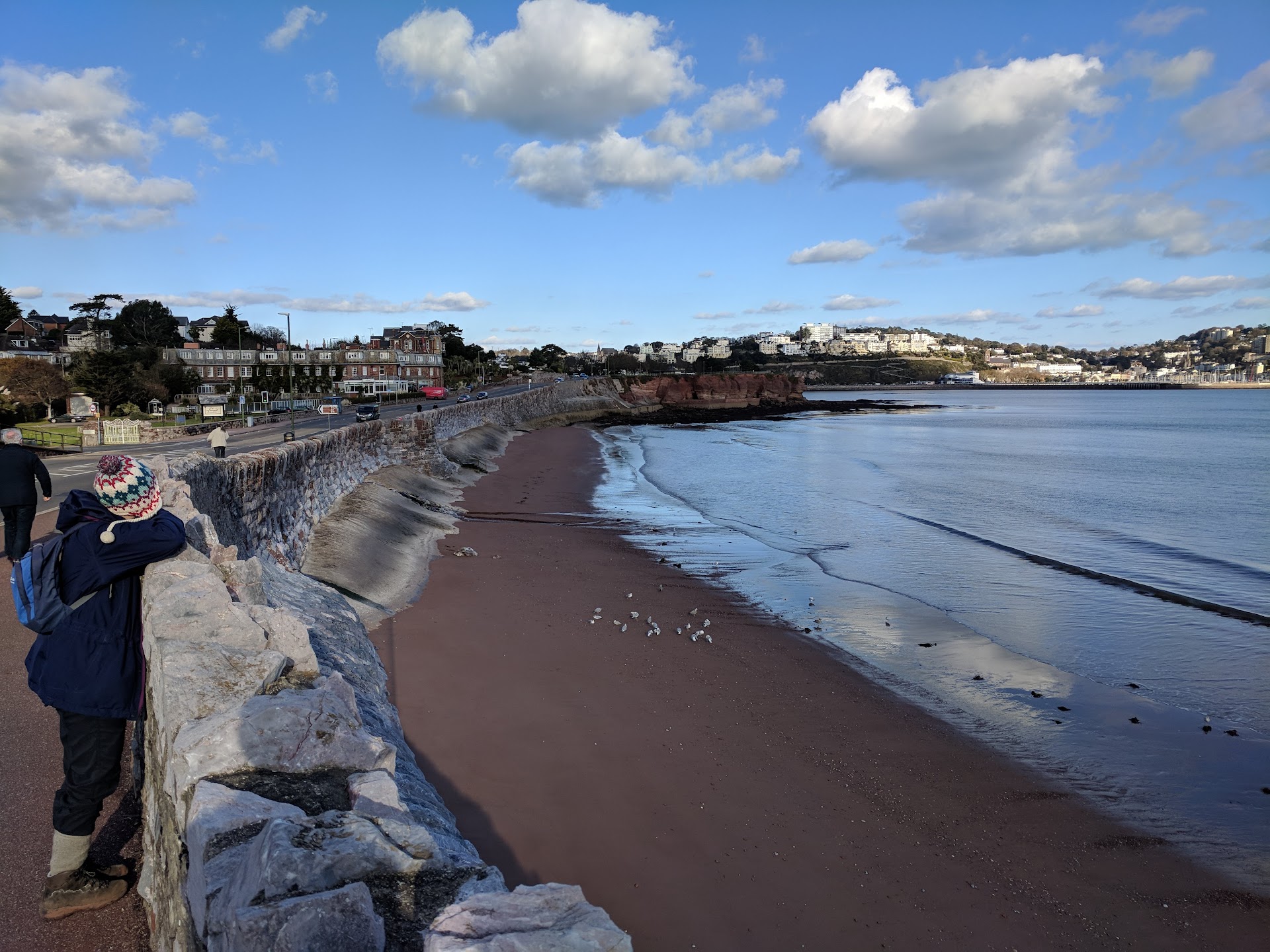 Livermead Sands dog-friendly beach, Torbay — year-round dog access