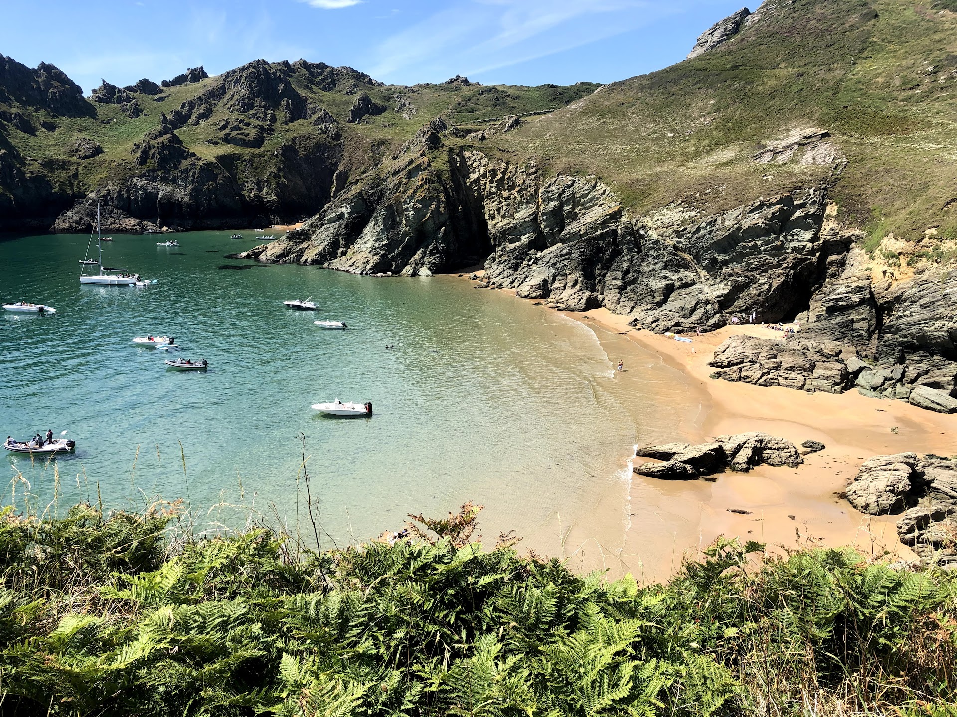 Maceley Cove dog-friendly beach, South Devon — year-round dog access