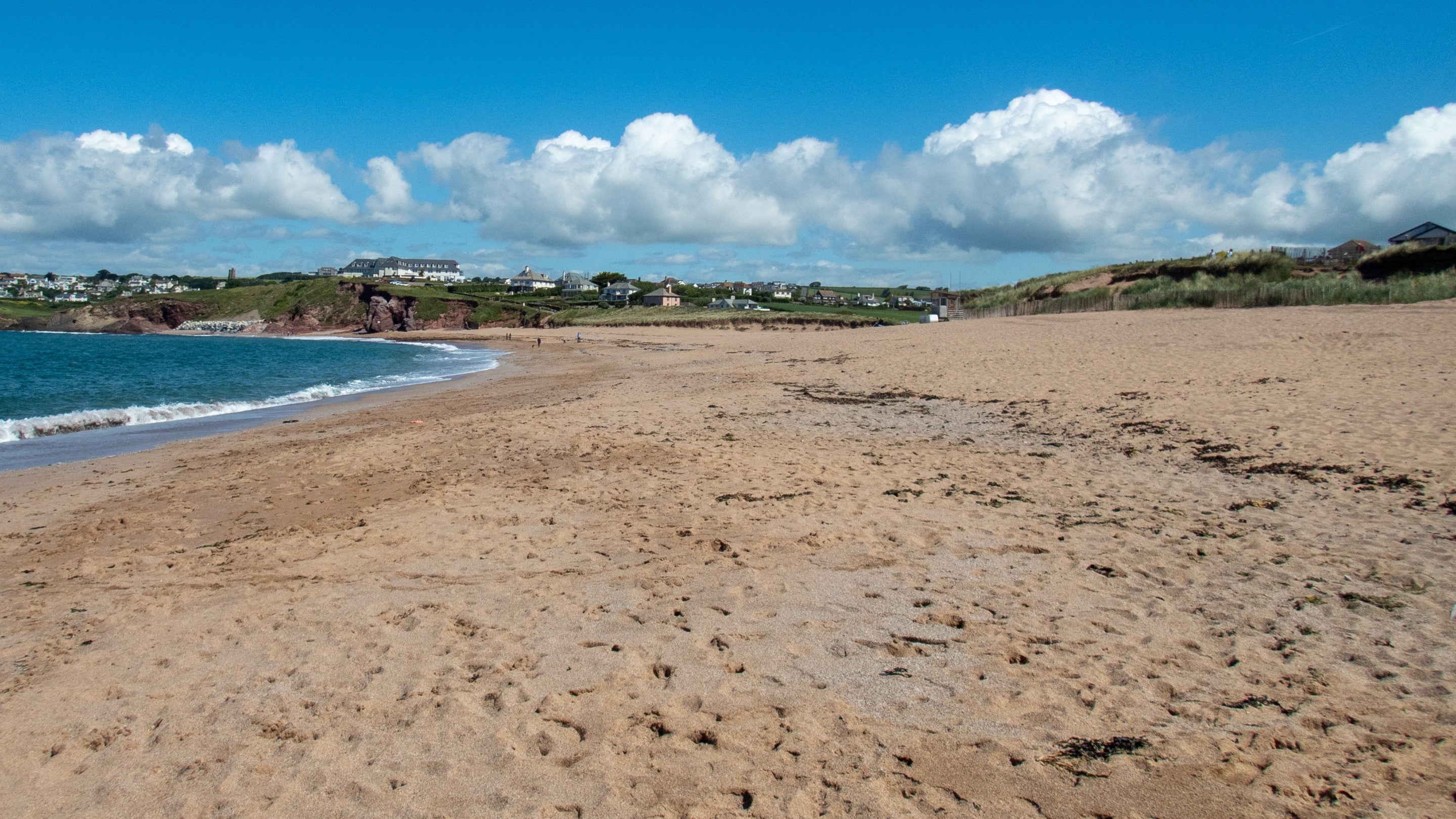 Maidencombe Beach dog-friendly beach, Torbay — year-round dog access