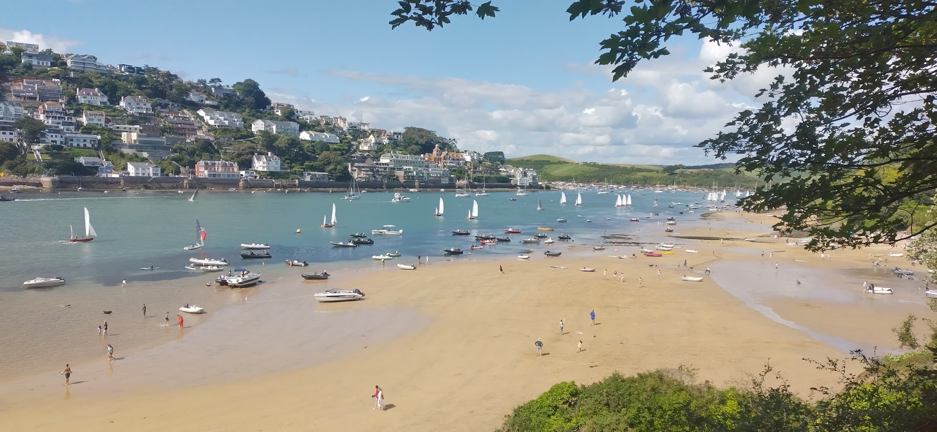 Mill Bay dog-friendly beach, South Devon — year-round dog access