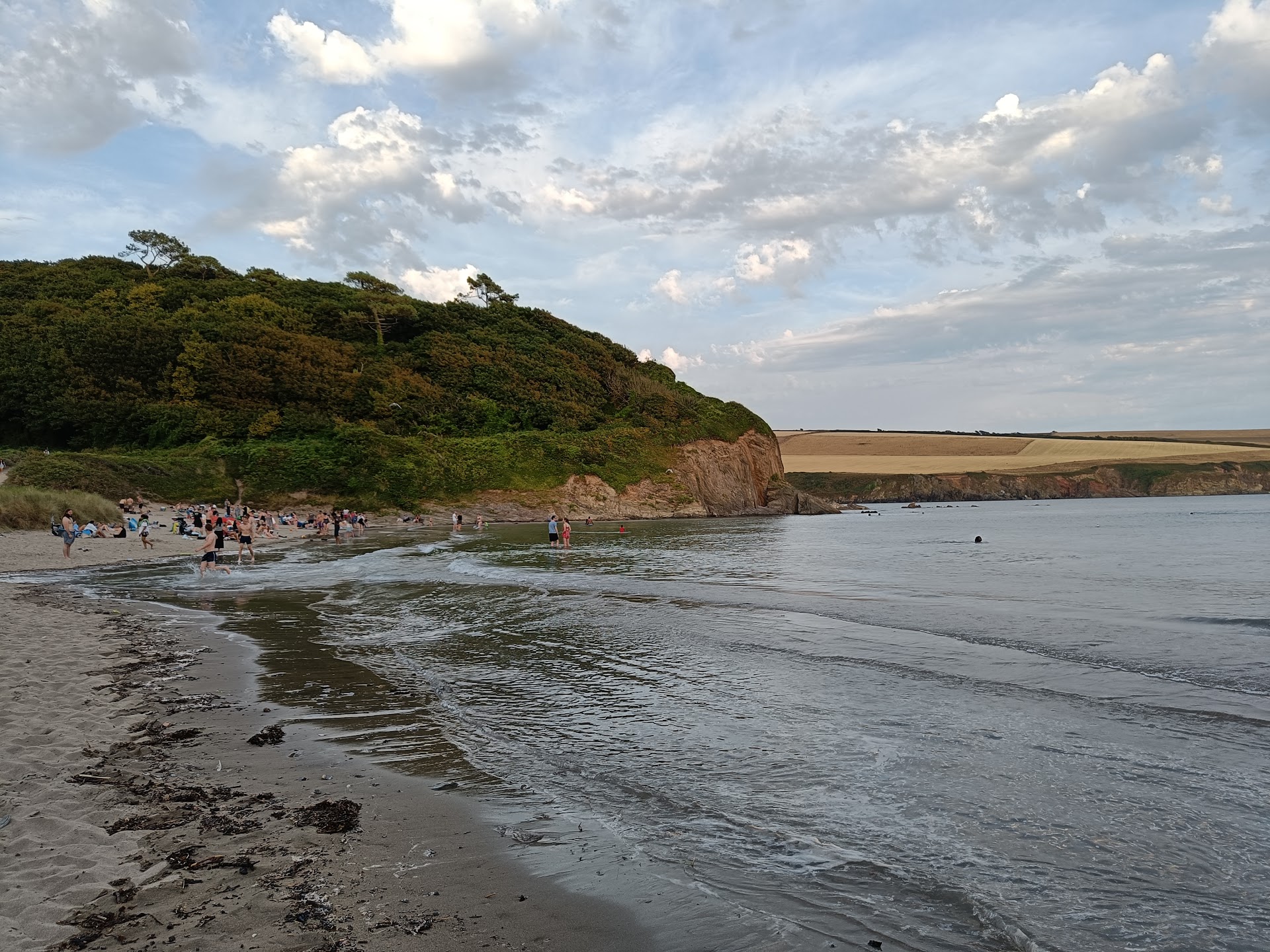 Mothecombe beach dog-friendly beach, South Devon — seasonal dog access