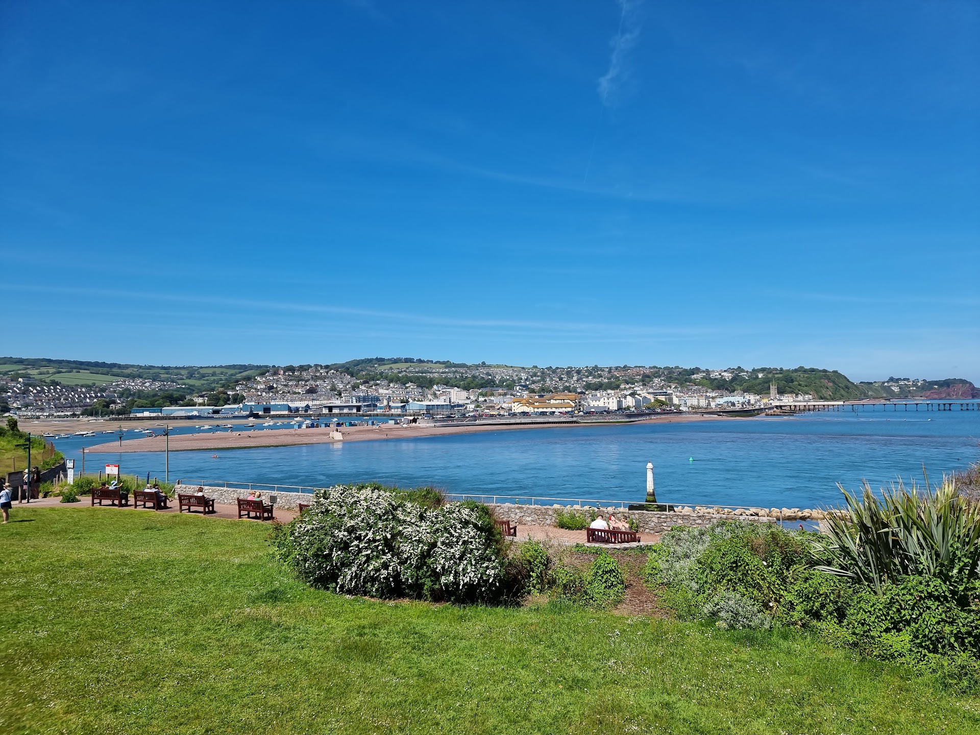 Ness Cove Beach dog-friendly beach, East Devon — year-round dog access