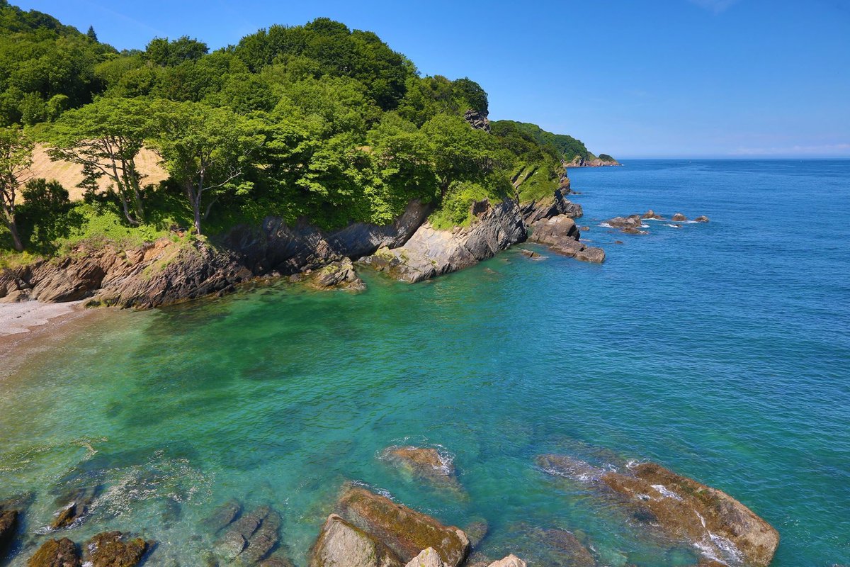 Newberry Beach dog-friendly beach, North Devon — year-round dog access