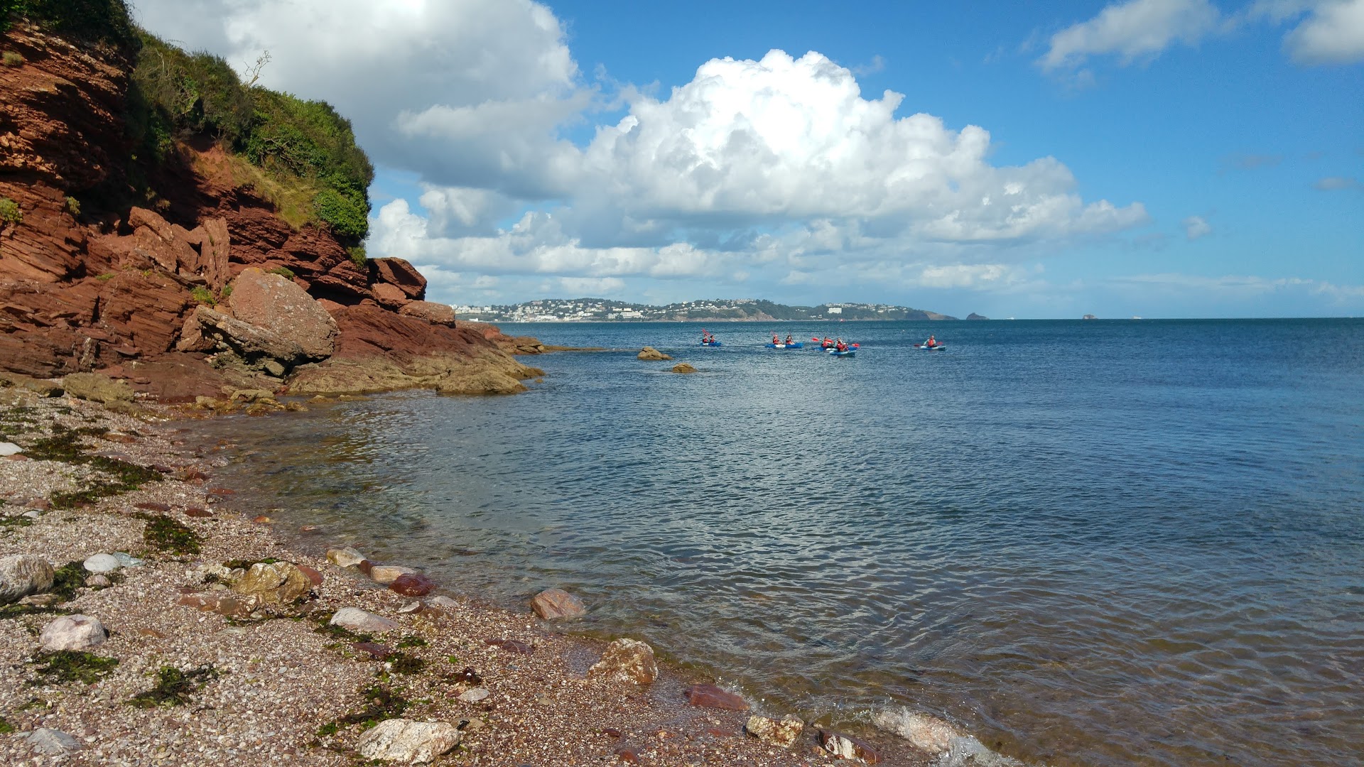 Oyster Cove dog-friendly beach, Torbay — year-round dog access