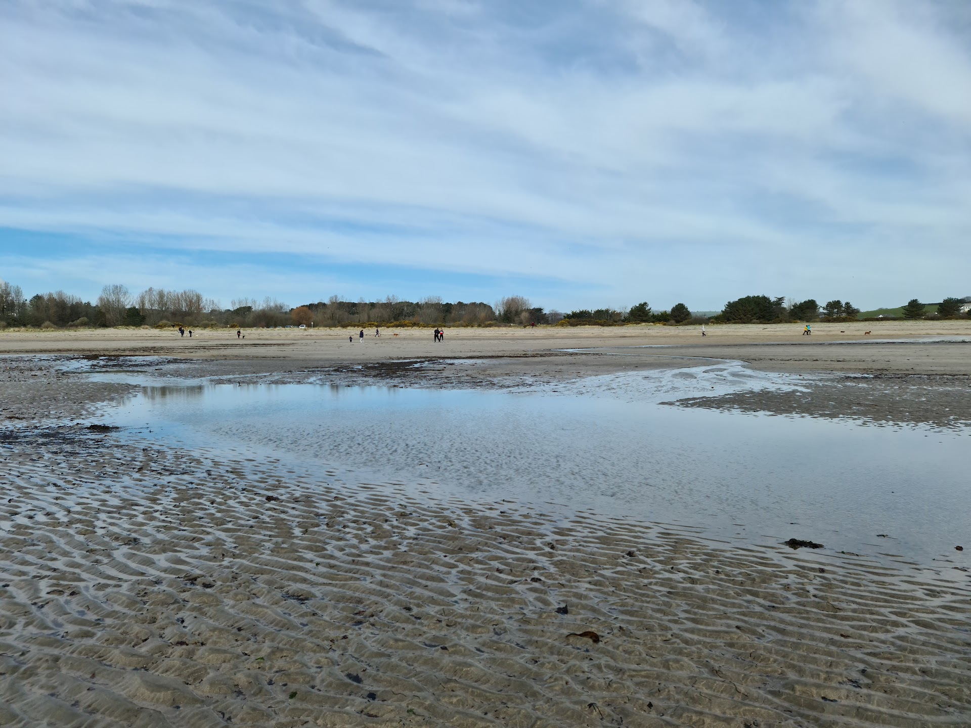 Par Sands Beach dog-friendly beach, Cornwall — year-round dog access