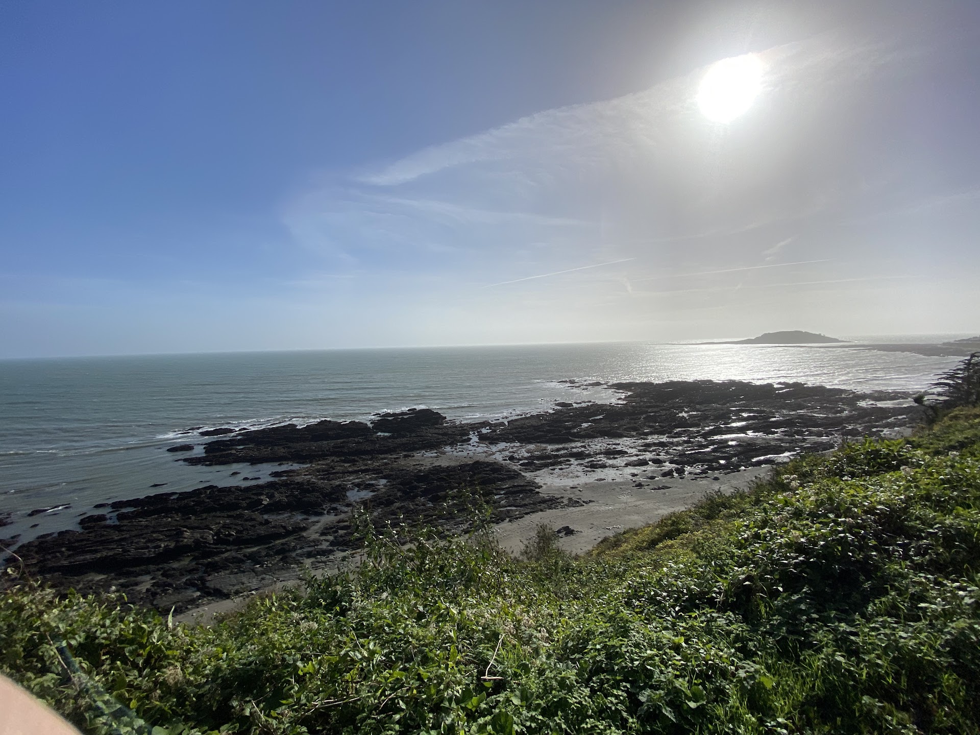 Plaidy Beach dog-friendly beach, South Devon — year-round dog access