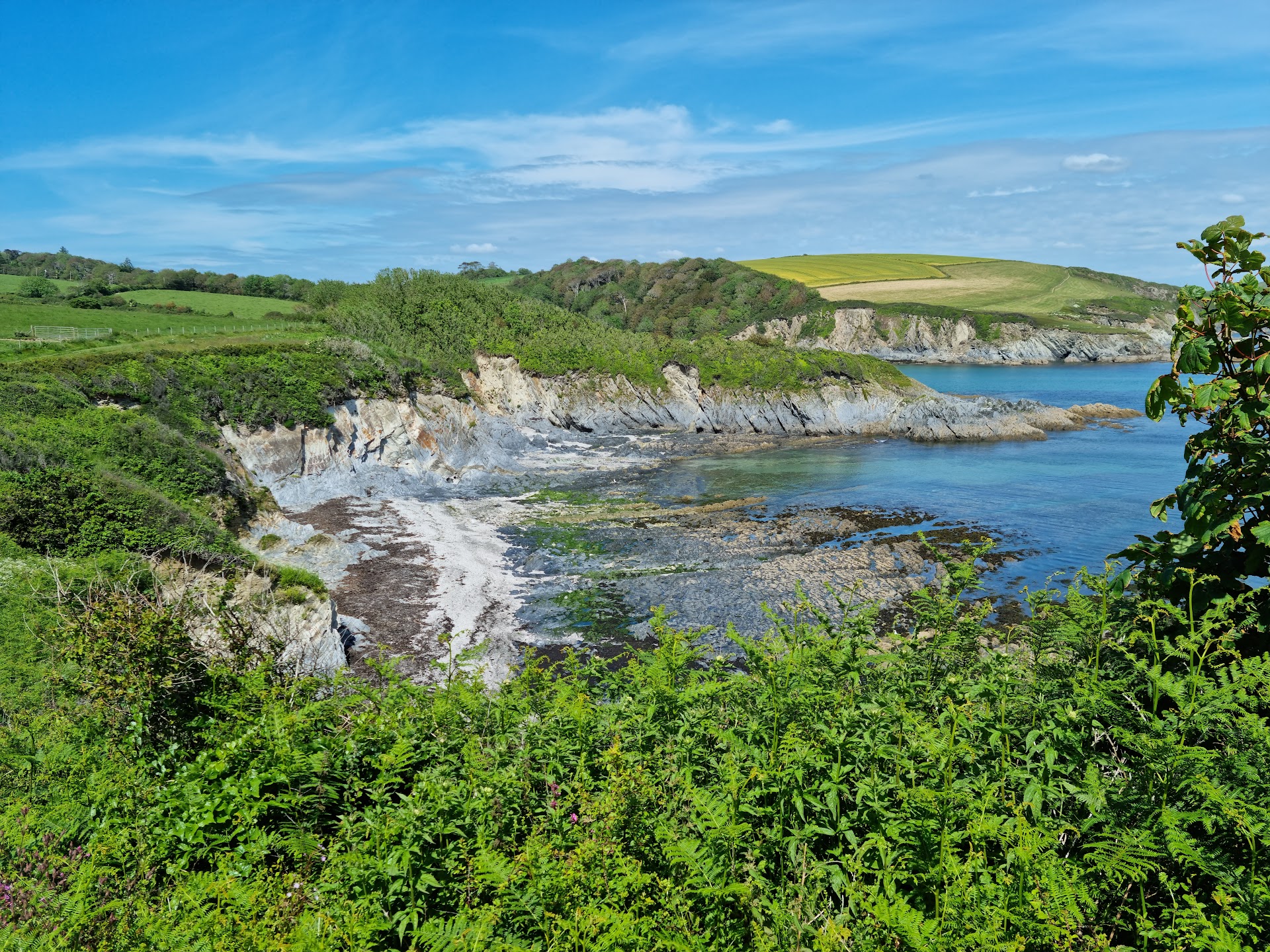 Polridmouth Cove dog-friendly beach, Cornwall — year-round dog access
