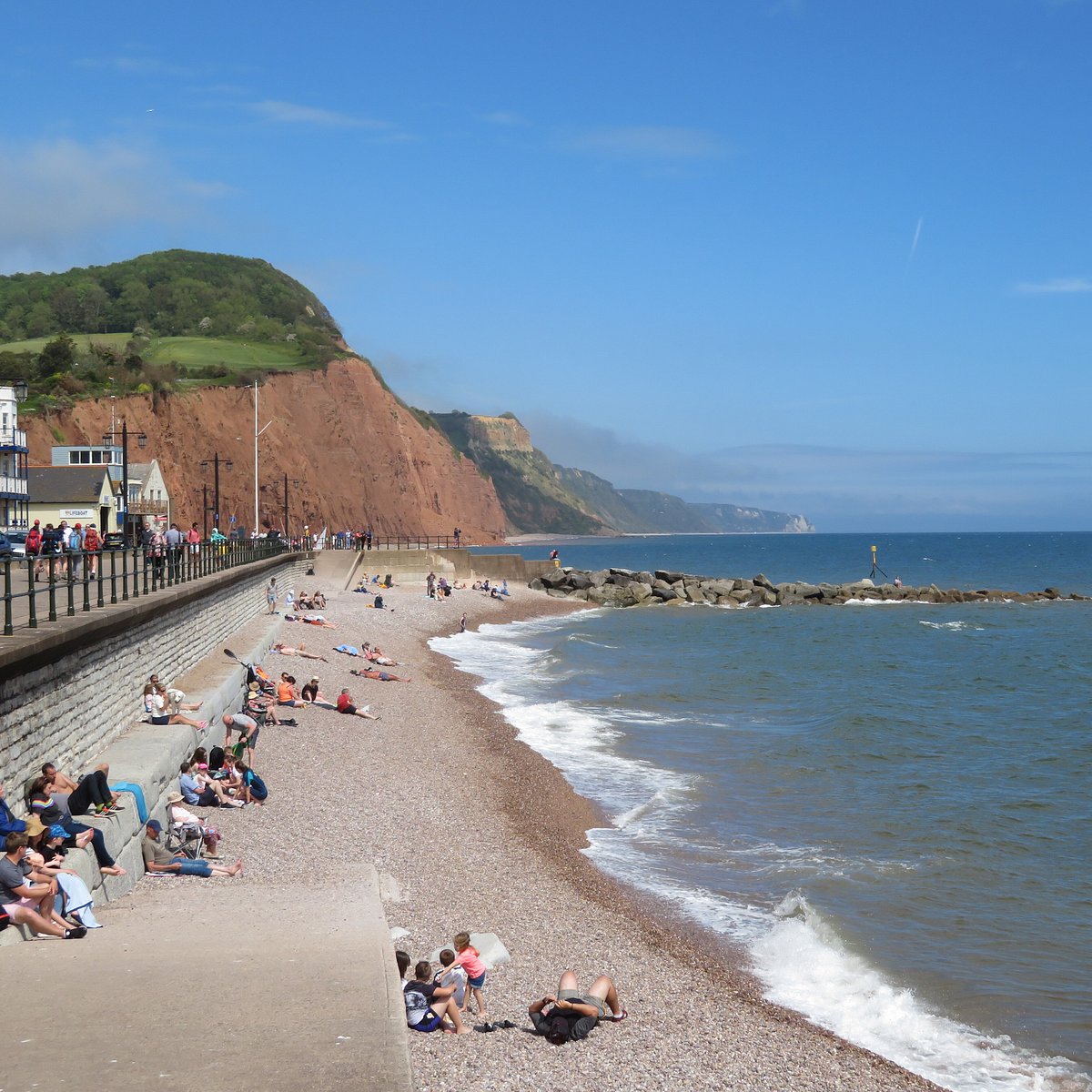 Porlock Beach dog-friendly beach, Somerset — year-round dog access