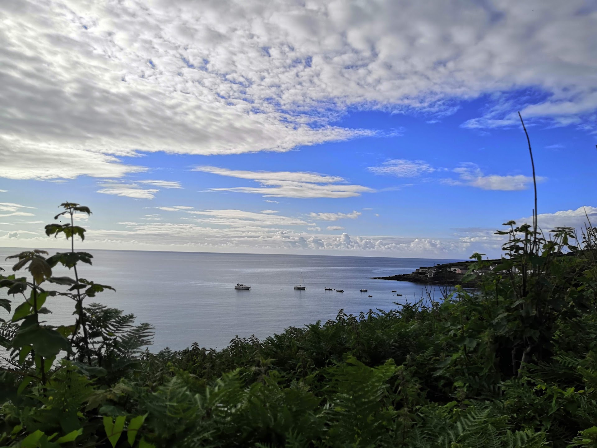 Porthcurnick Beach dog-friendly beach, Cornwall — year-round dog access