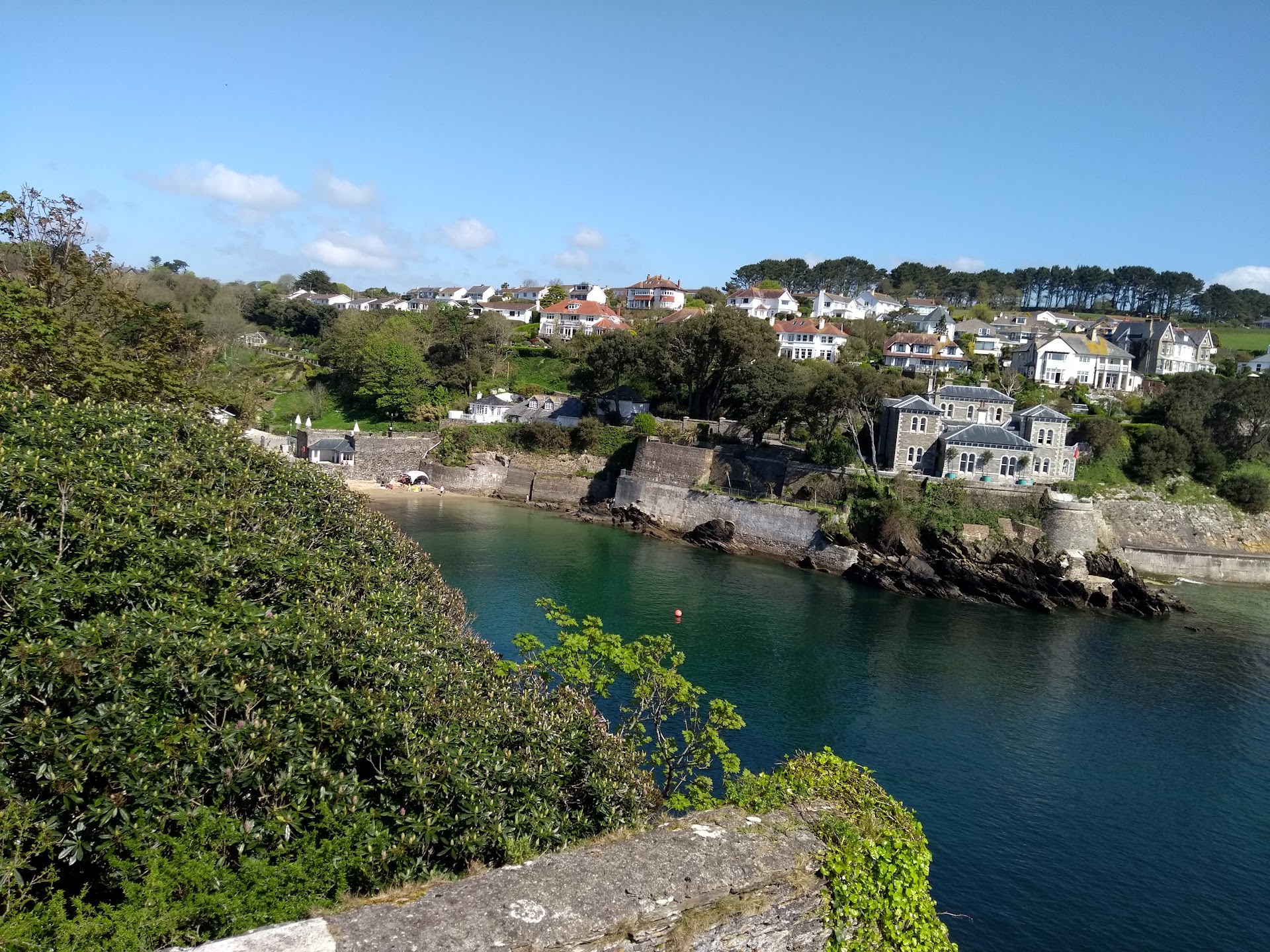 Readymoney Cove dog-friendly beach, Cornwall — year-round dog access