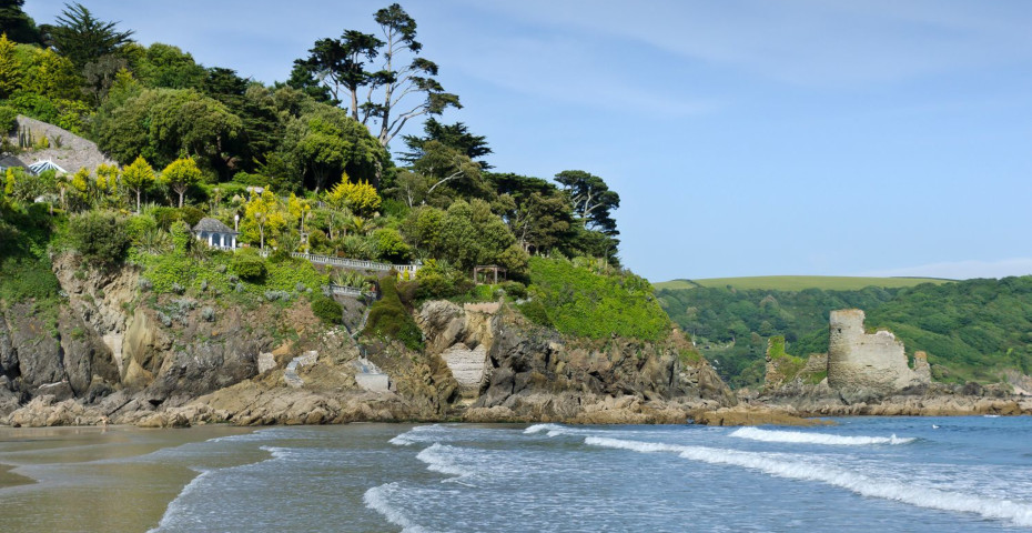 Top 5 Devon Beaches for Older Dogs (or Owners!) 🐕