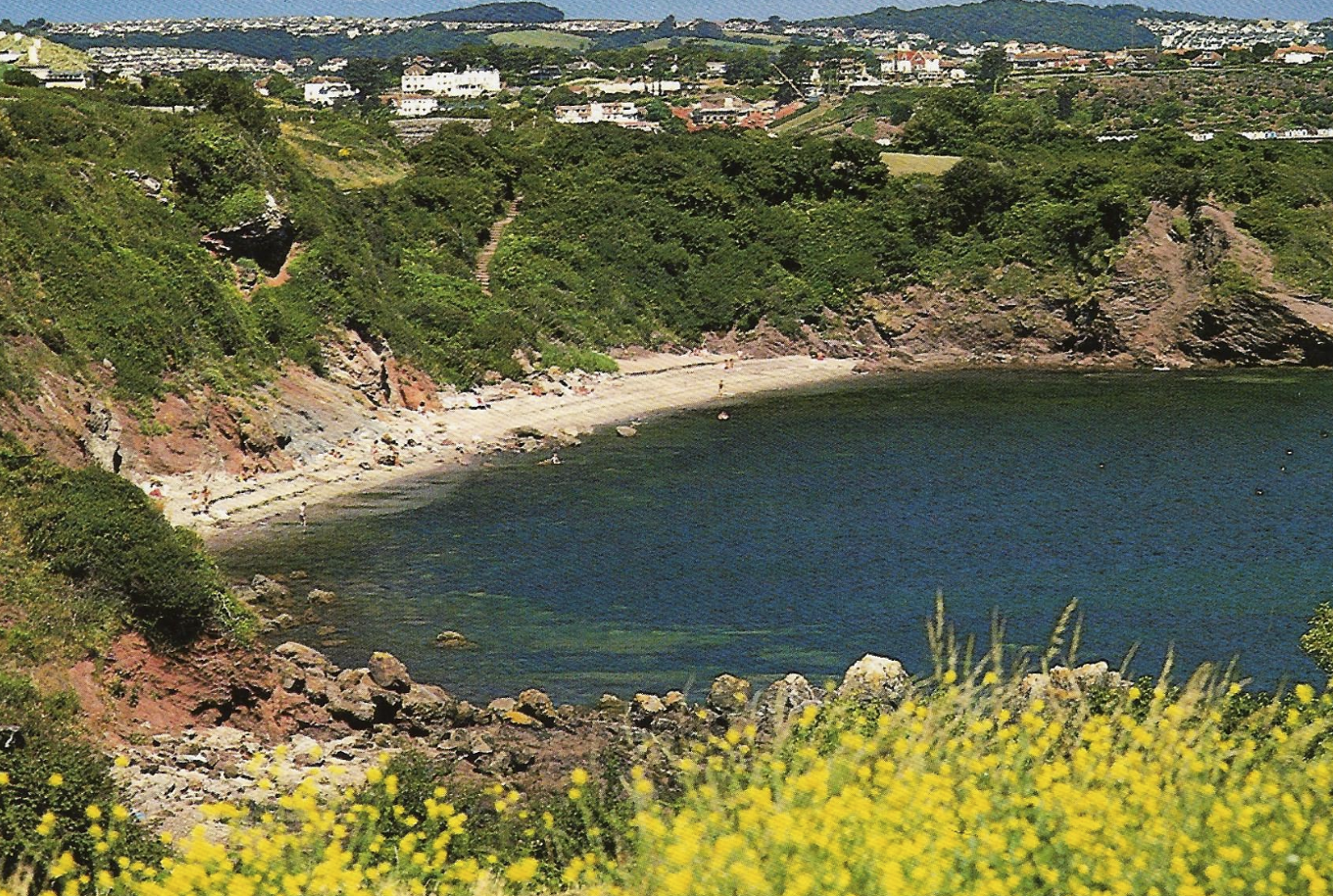 Saltern Cove dog-friendly beach, Torbay — year-round dog access